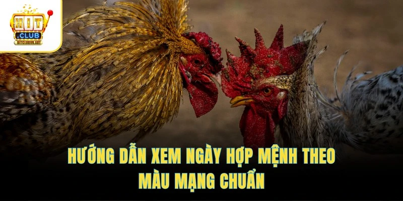 Màu Mạng Gà Đá – Hướng Dẫn Xem Ngày Hợp Mệnh Chi Tiết 4 Hướng dẫn xem ngày hợp mệnh theo màu mạng chuẩn